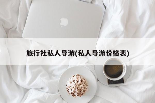 旅行社私人导游(私人导游价格表)